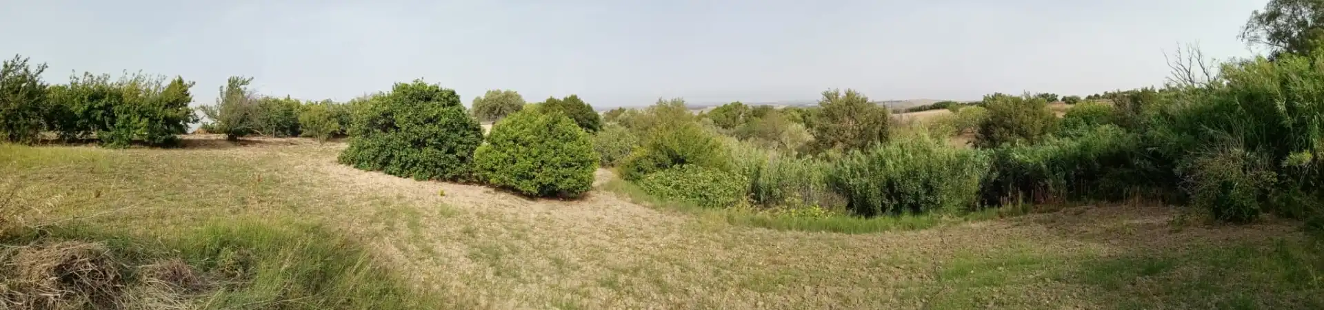 Terreny rústic en venda a Medina Sidonia, imagen 12