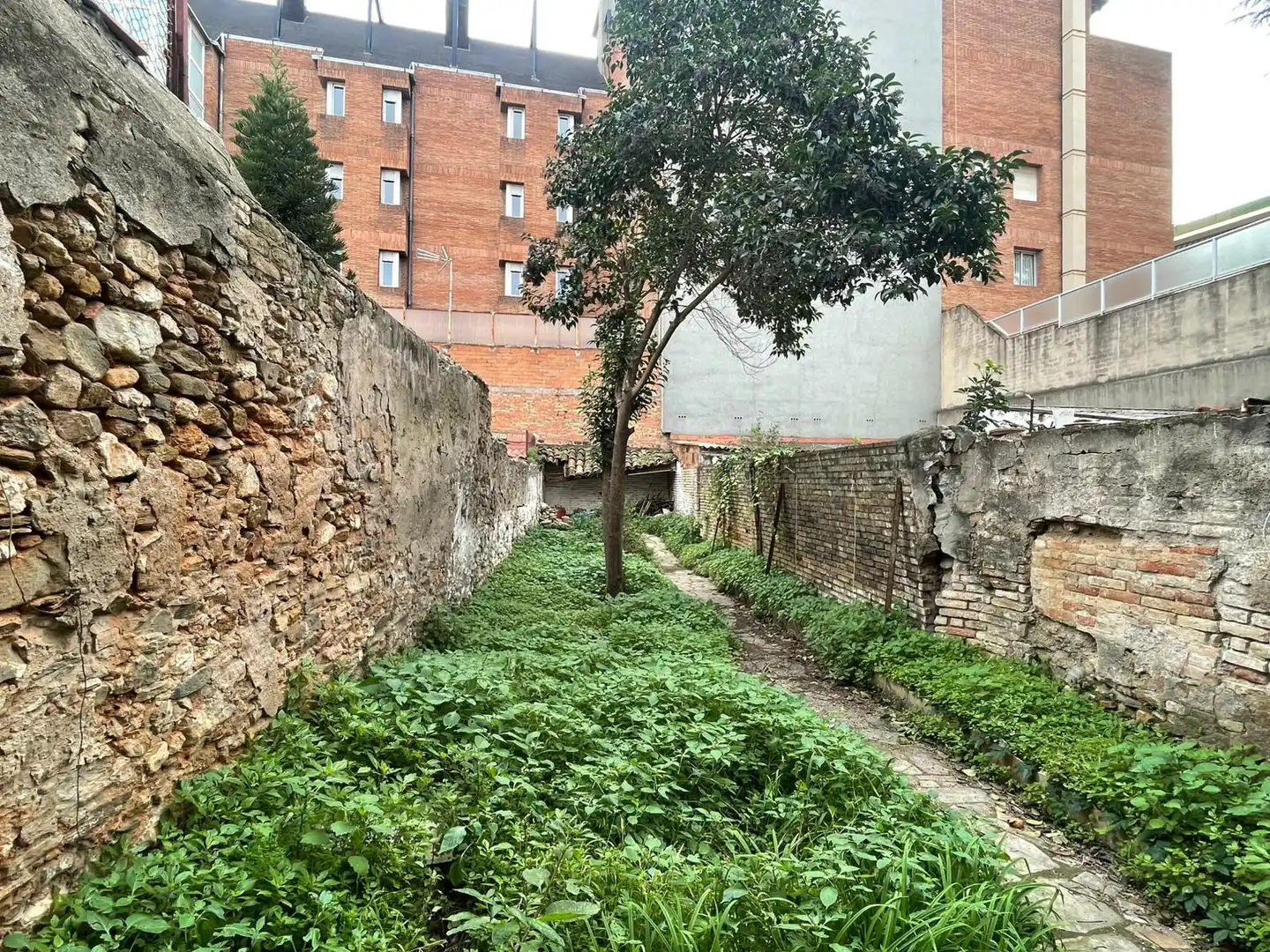 Casa o xalet en venda en Sant Feliu de Llobregat amb Terrassa i Balcó