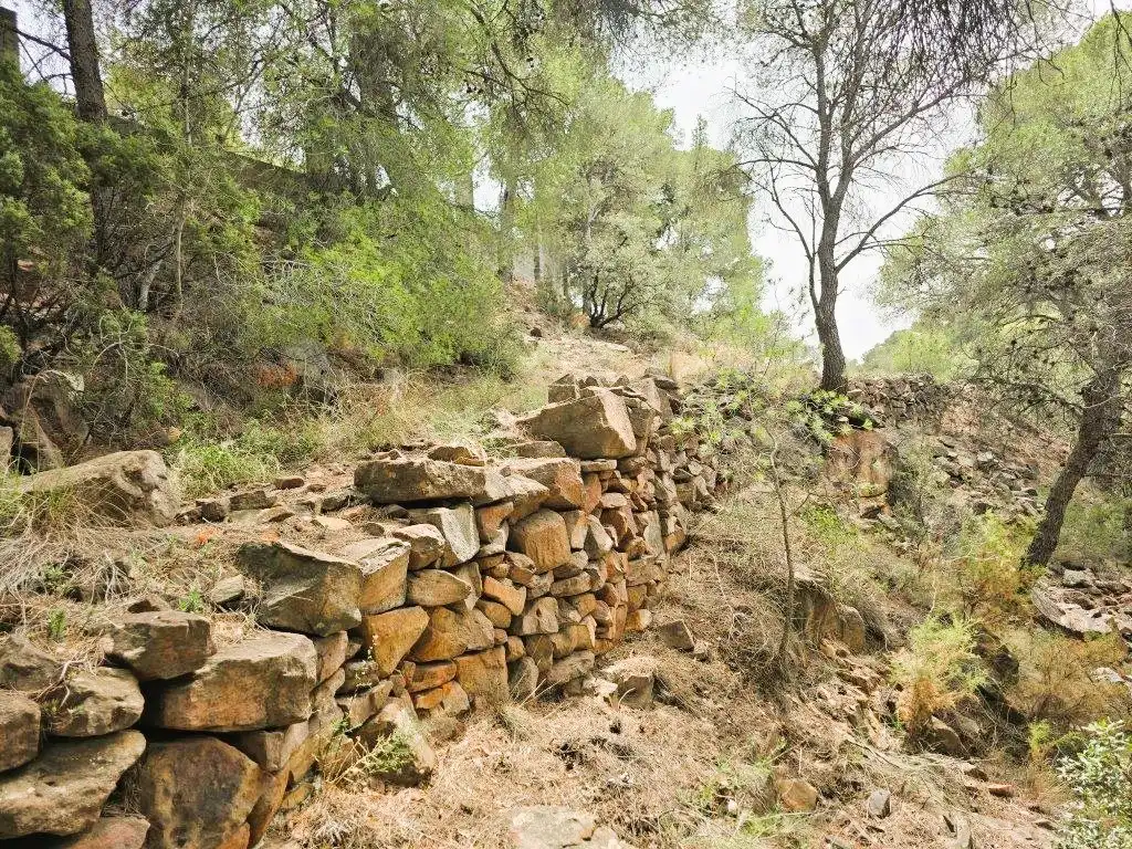 Wohnbaugrundstück zum Verkauf in Carrer Canteres 18, imagen 15