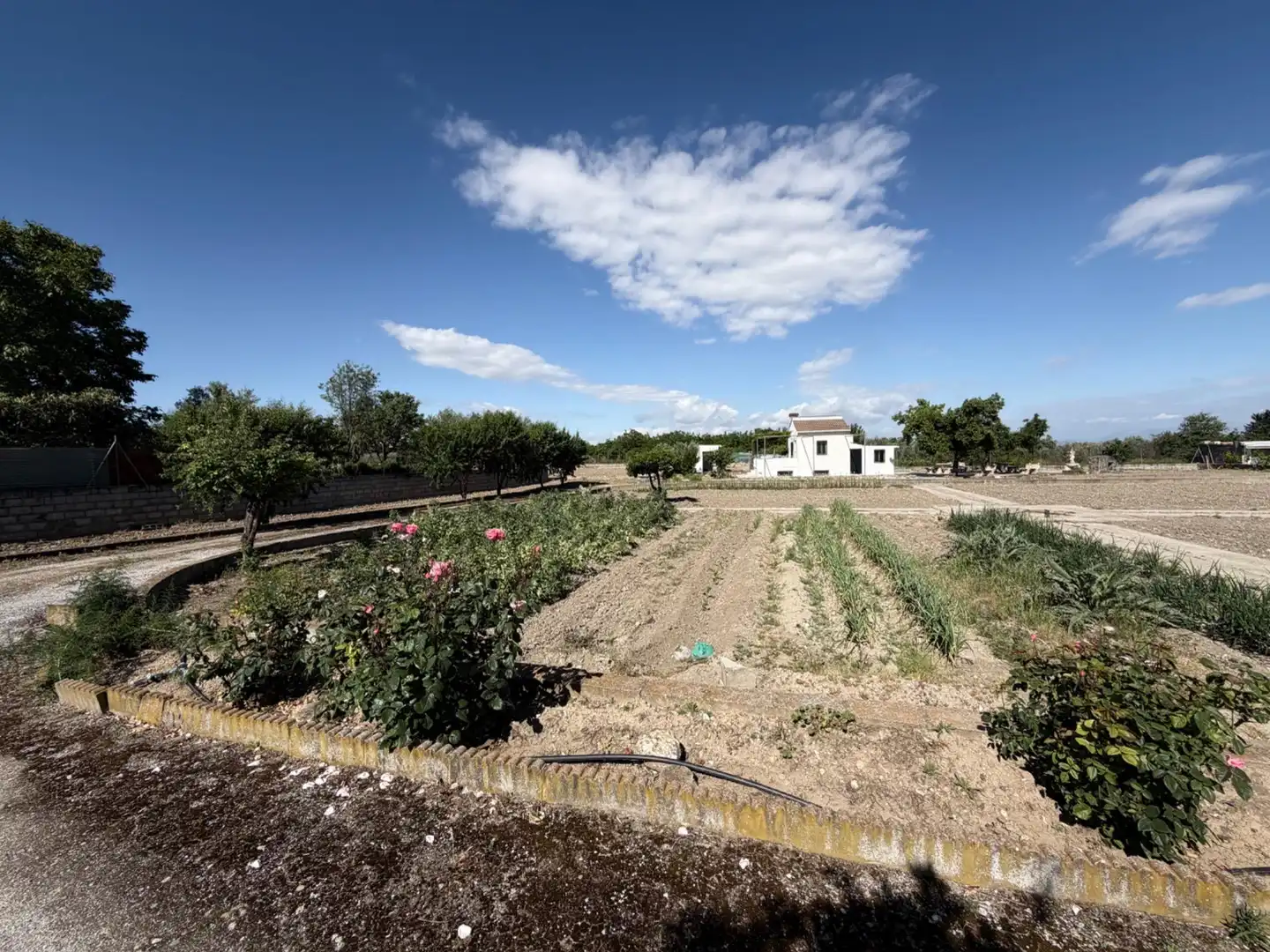 Grundstücke zum Verkauf in La Zubia