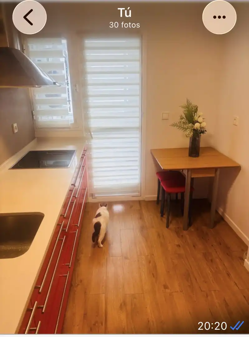 Esszimmer von Wohnung zur Miete in Badajoz Capital mit Klimaanlage, Terrasse und Schwimmbad