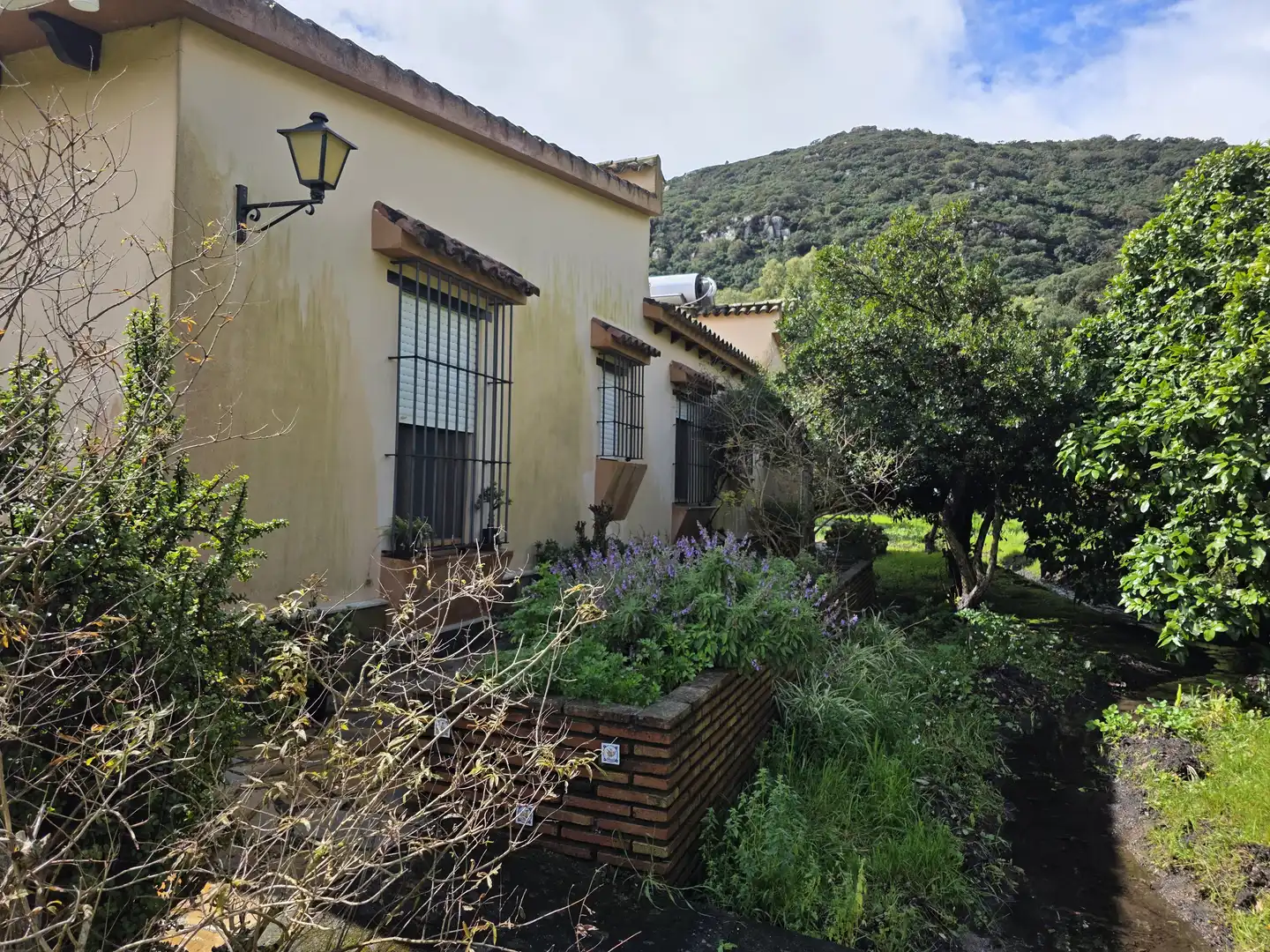 Casa rústica amb terrassa en venda a Los Barrios, imagen 48