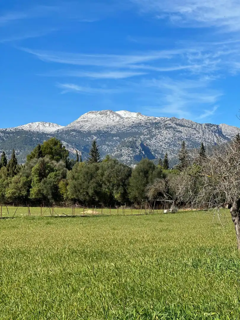 Terreno residenziale in vendita a Camino Selva, imagen 24