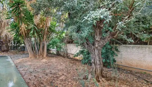 Casa con jardín en venta en La Caleta - La Calalga -  Les Bassetes, imagen 5