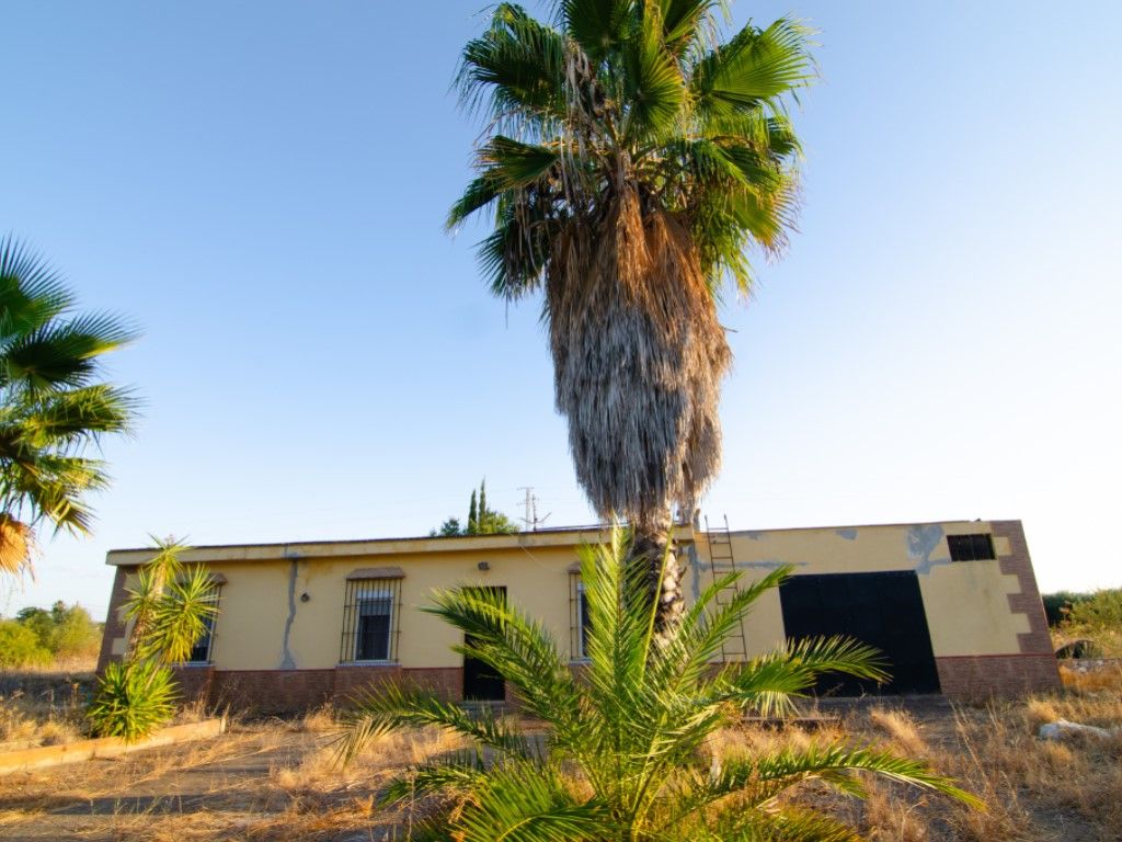 Casa o xalet en venda a Carmona