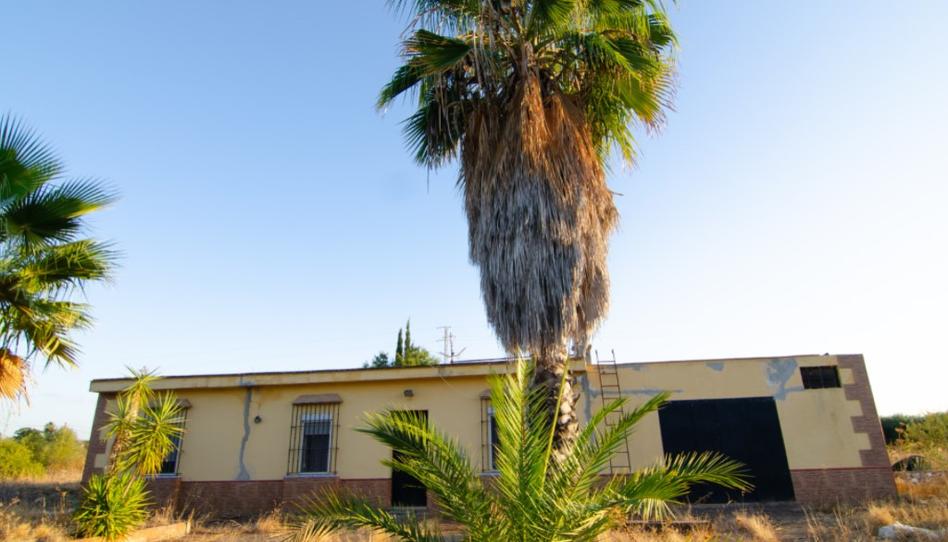 Photo 1 of House or chalet for sale in Carmona, Sevilla