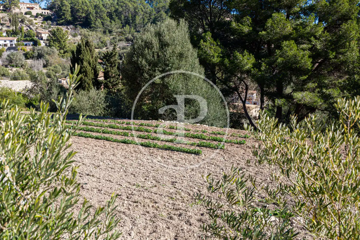 Residential for sale in Puigpunyent