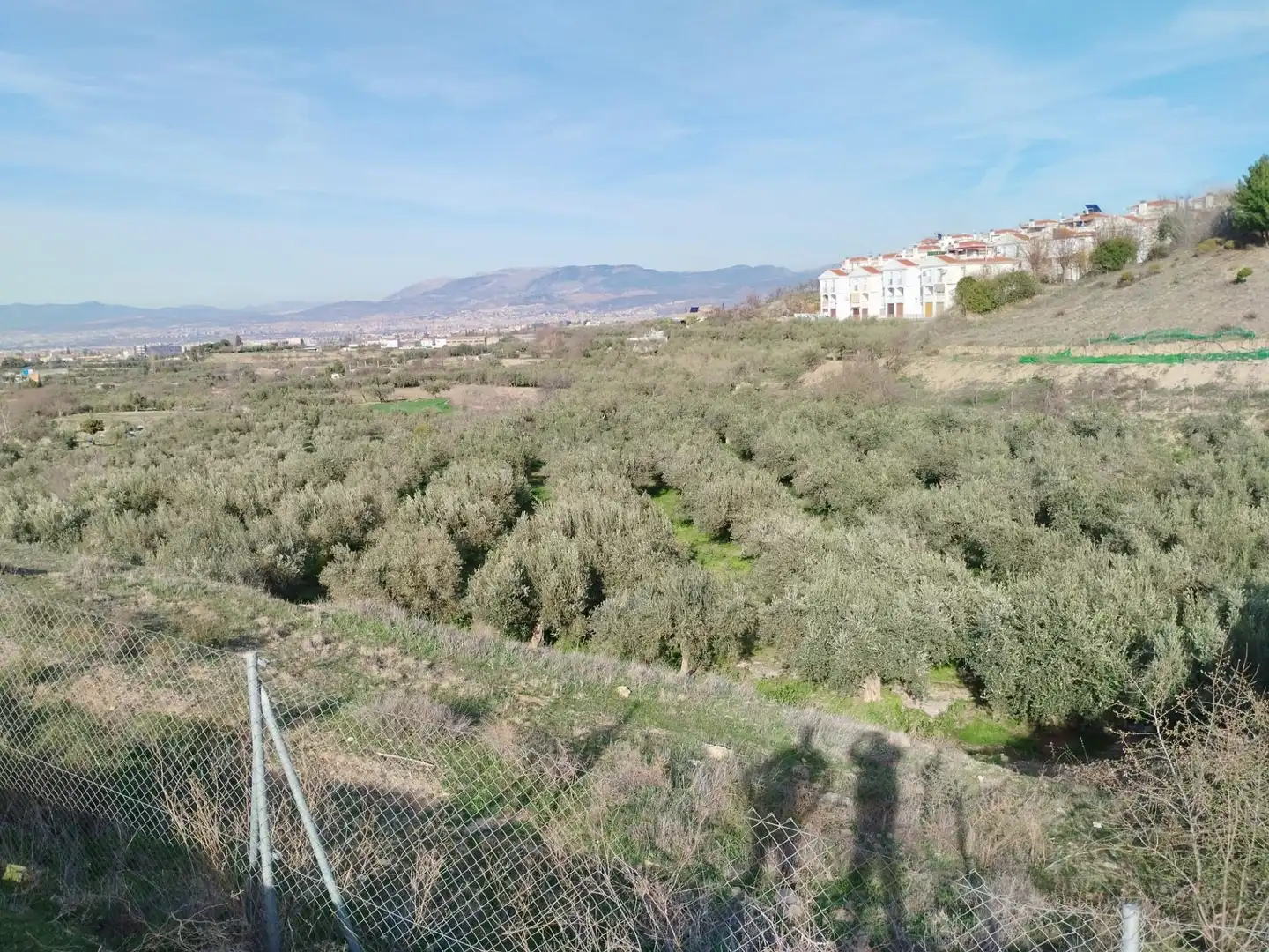 Terreno rustico in vendita a Urbanizacion PAGO VIÑA DEL REY, imagen 20