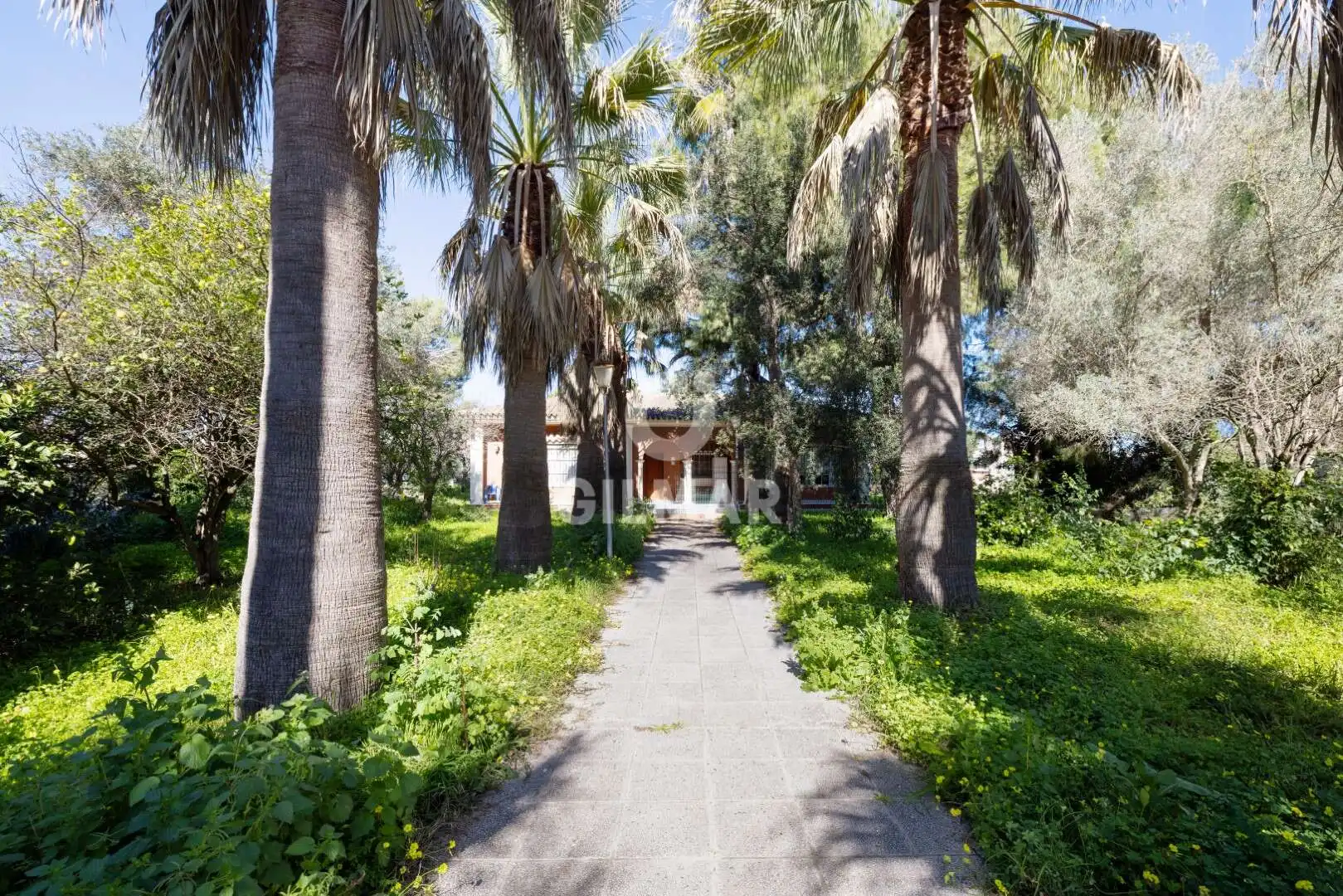 Vista exterior de Casa o xalet en venda en Chiclana de la Frontera amb Calefacció, Jardí privat i Piscina
