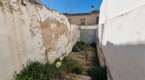 Photo 3 of Houses for sale in Calle Francisco Salto, Rute, Córdoba