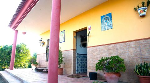 Foto 5 de Casa o chalet en venta en Pilas, Sevilla