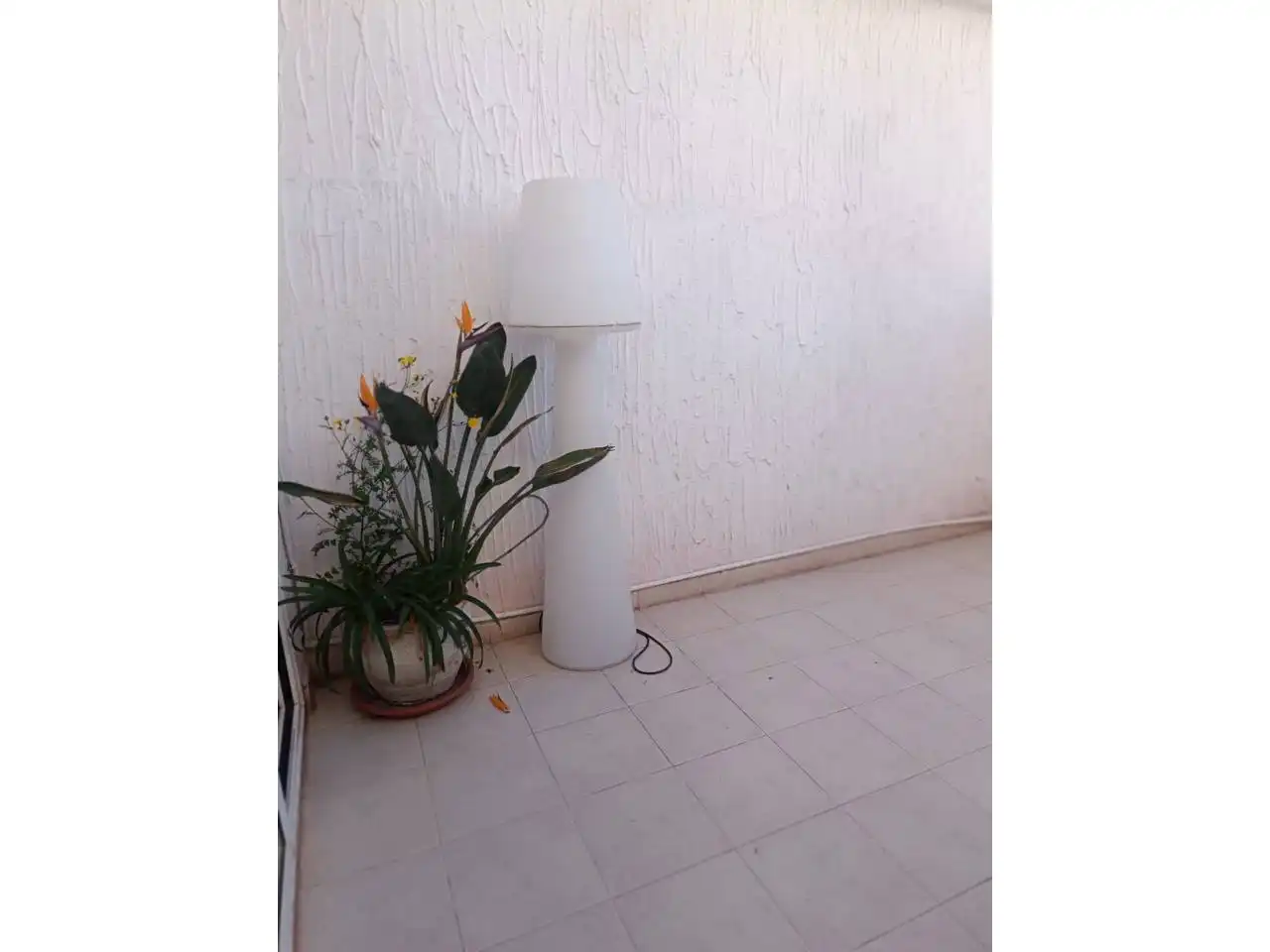 Casa en venta en Calle Padre Luis Navarro, imagen 23