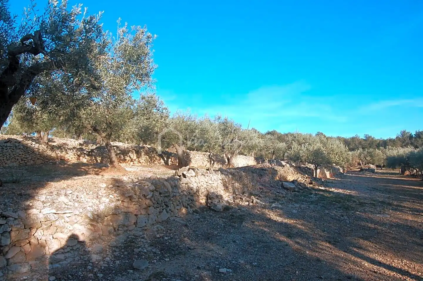Terreno rustico in vendita a Burgà, imagen 14