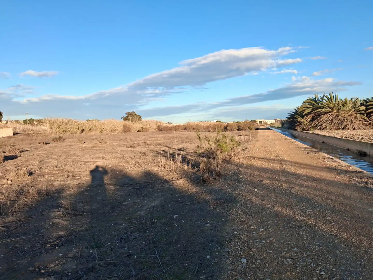 Terreno rustico in vendita a San Fulgencio, imagen 4