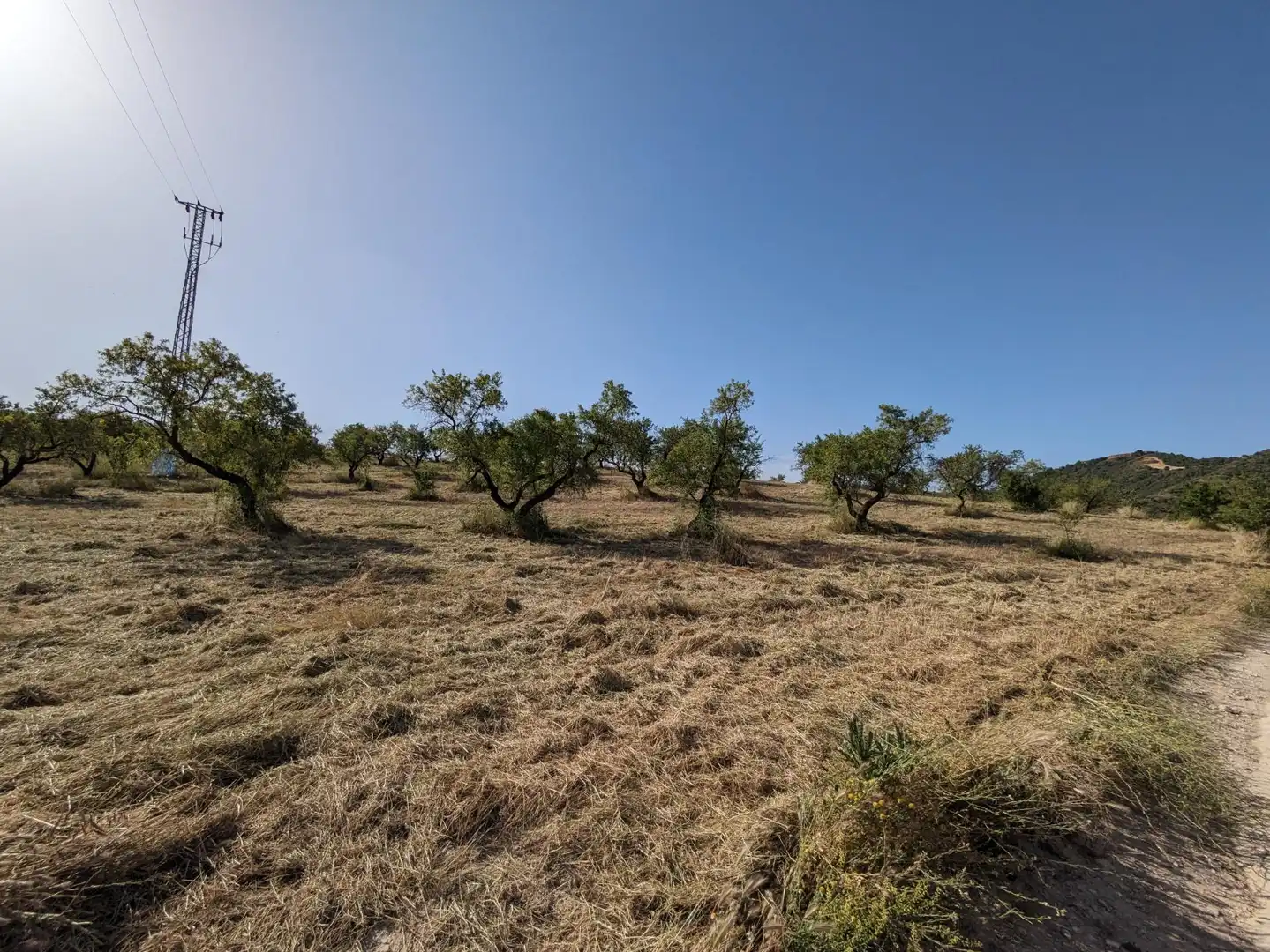 Residential land for sale in EXTRARRADIO, imagen 11