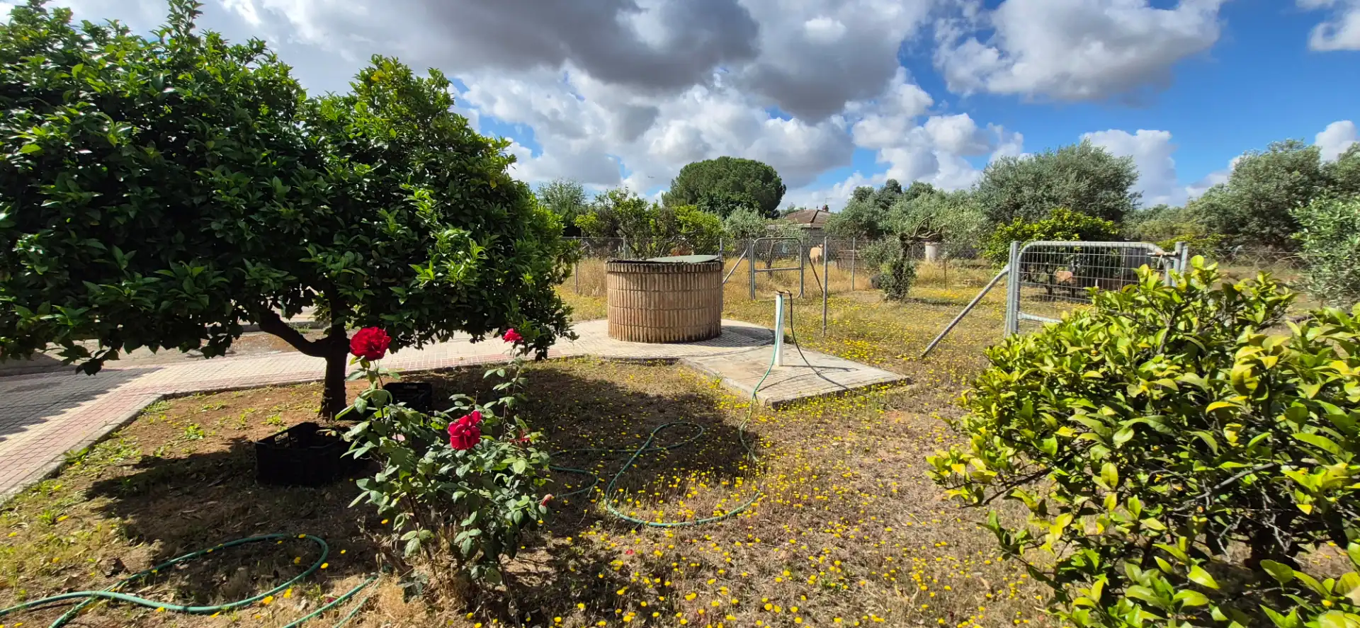 Casa o chalet en venta en Carmona con Aire acondicionado, Calefacción y Jardín privado