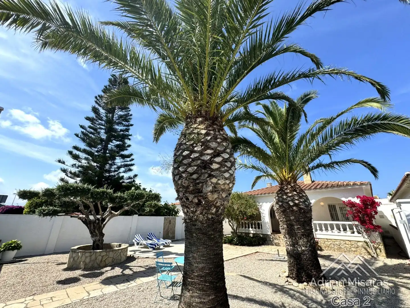 Vista exterior de Casa o chalet en venta en Deltebre con Aire acondicionado, Piscina y Amueblado
