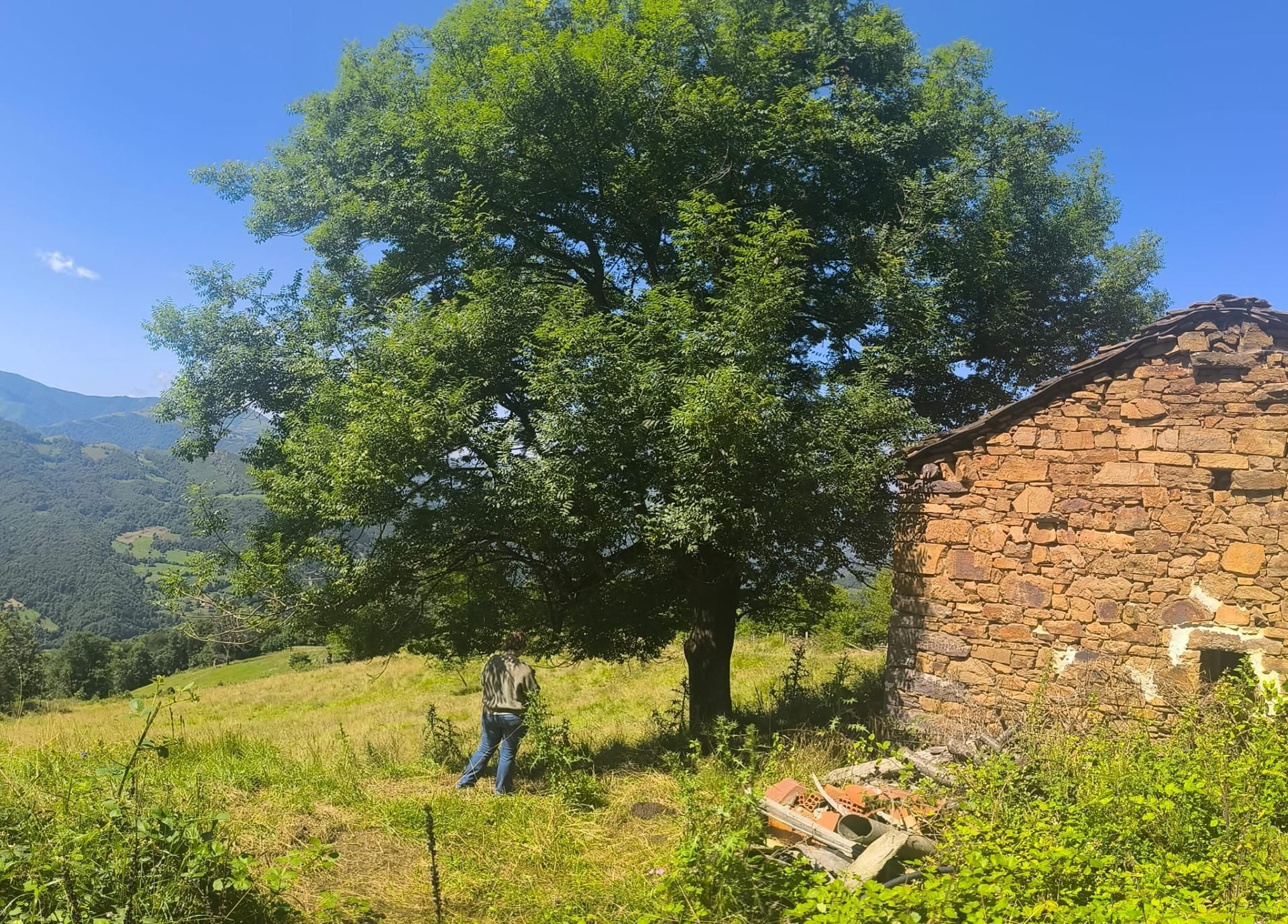 Finca rústica en venda en Aller amb Jardí privat