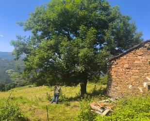 Finca rústica en venda en Aller amb Jardí privat