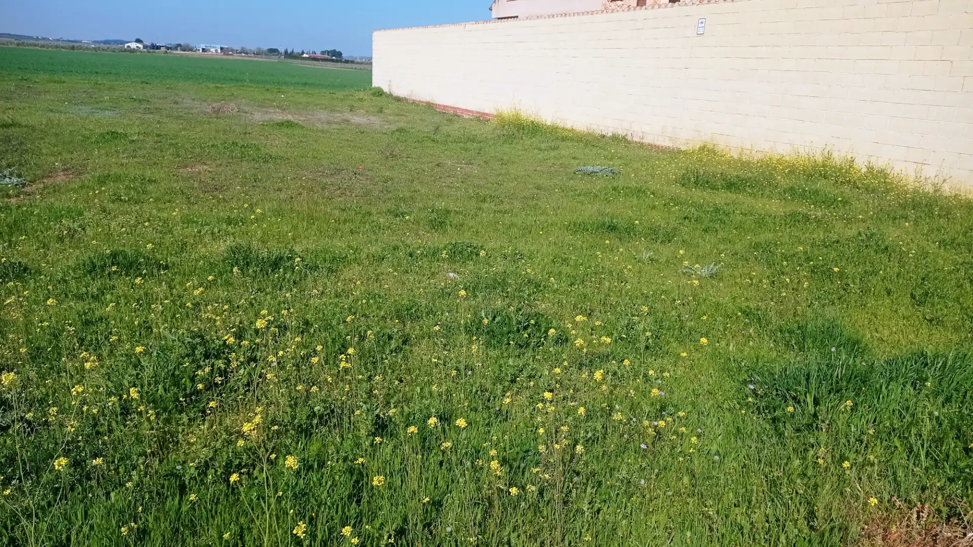 Terreno residencial en venta en Carrión de Calatrava, imagen 3