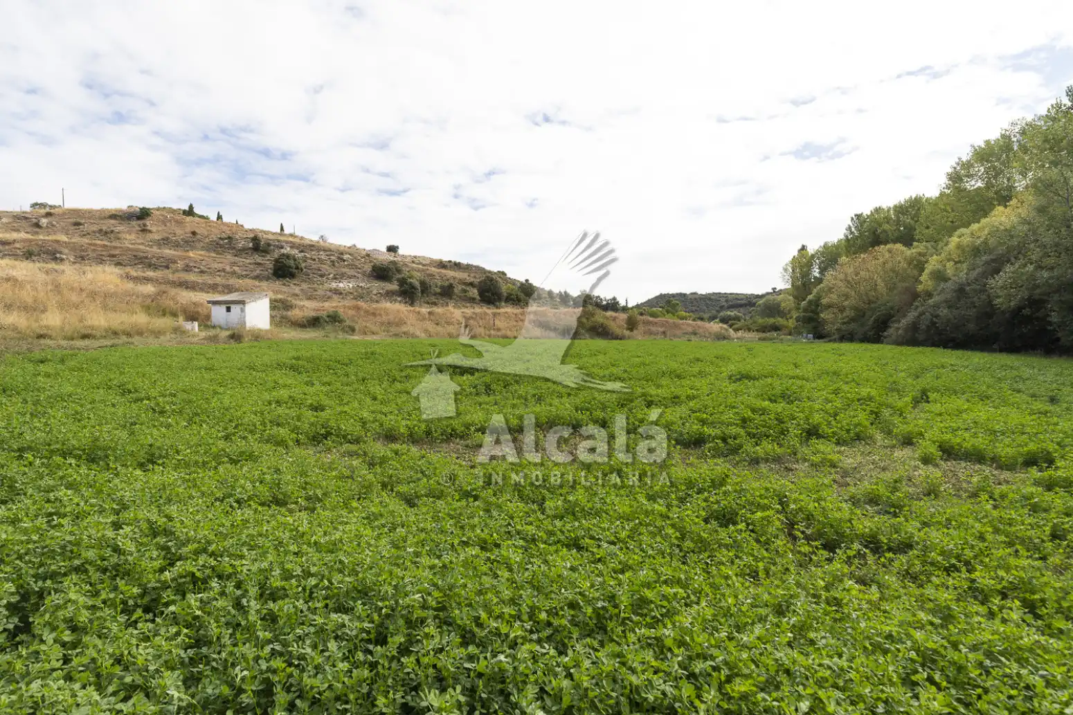 Terreny rústic en venda a Hueva, imagen 9
