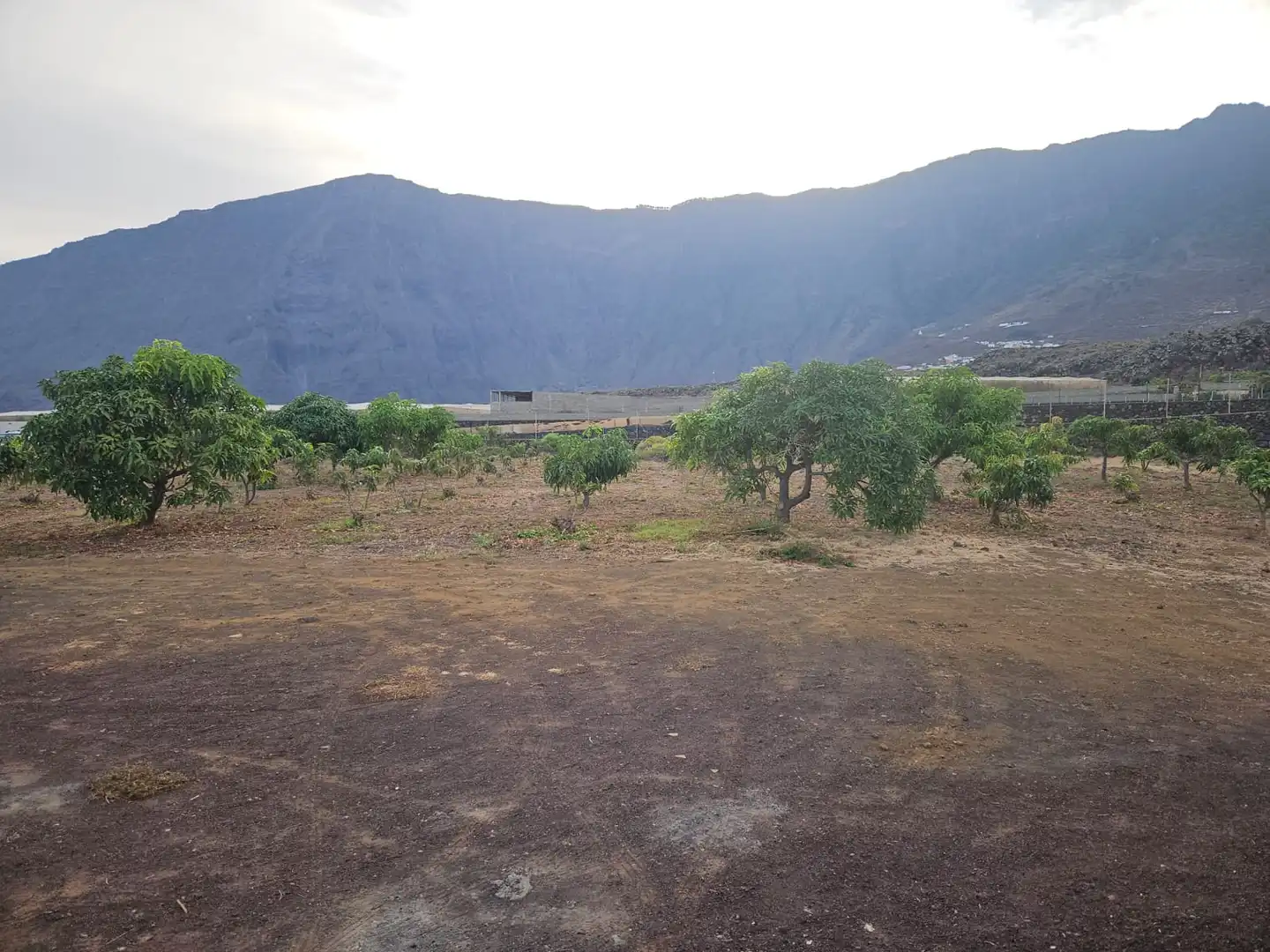 Finca rústica en venta en Frontera con Terraza, Amueblado y Horno