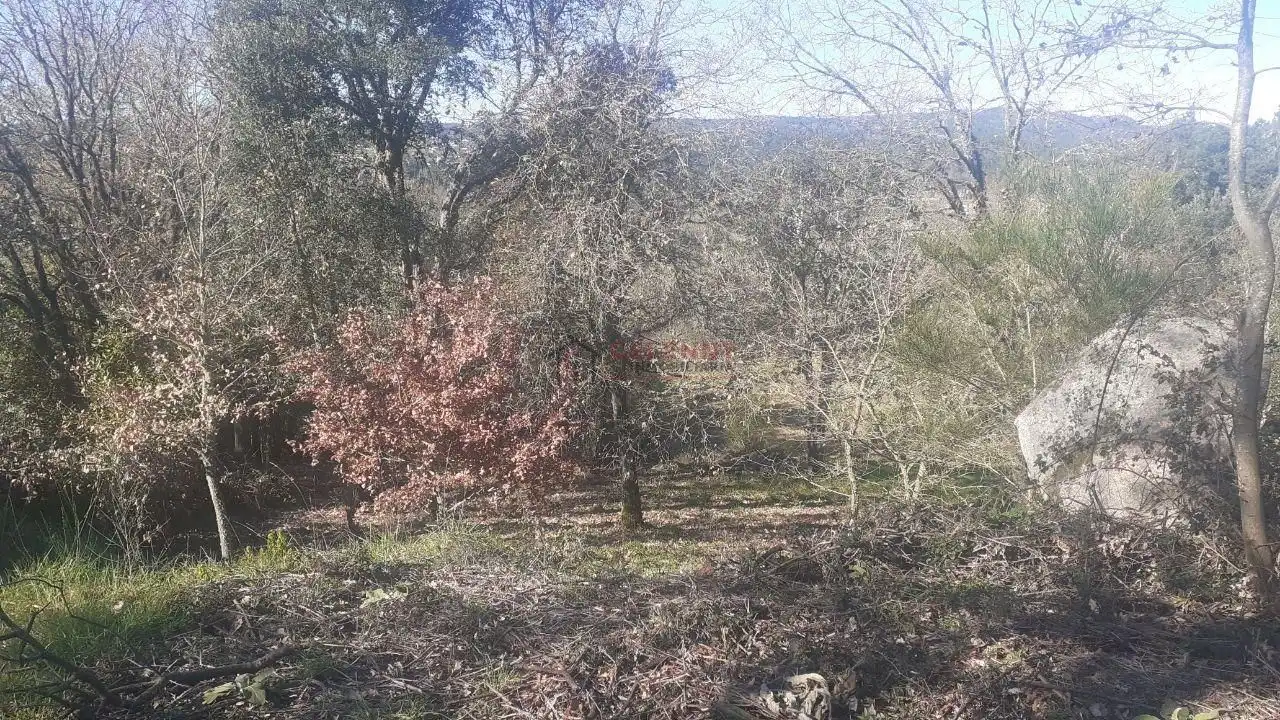 Terreni e lotti in vendita a San Cibrao das Viñas, imagen 4