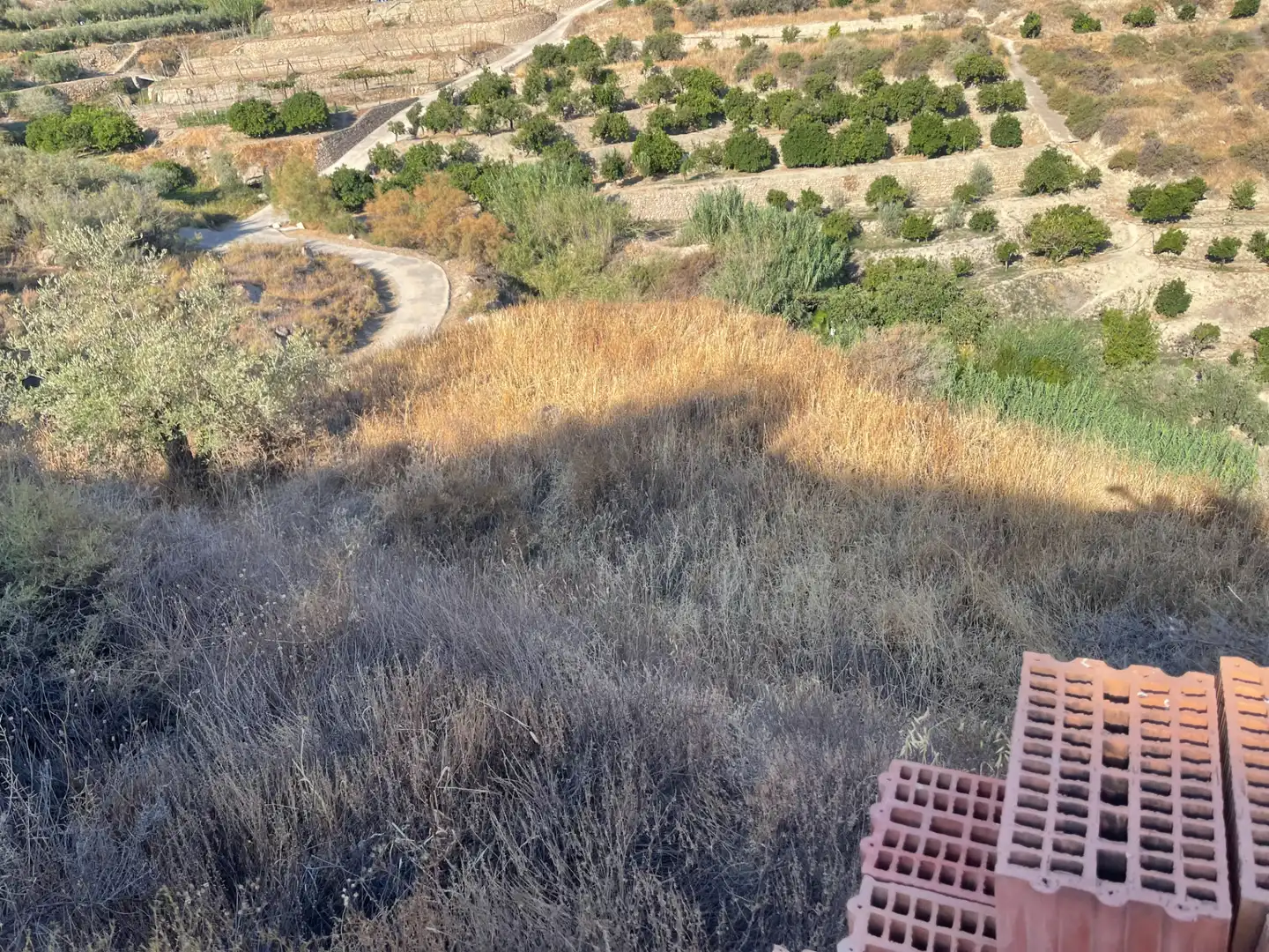 Terreno rustico in vendita a Calle La Fuente