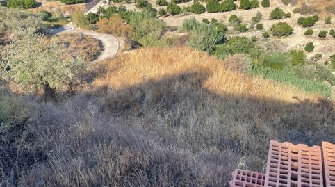 Venta de Parcela en Alicun con buenas vistas