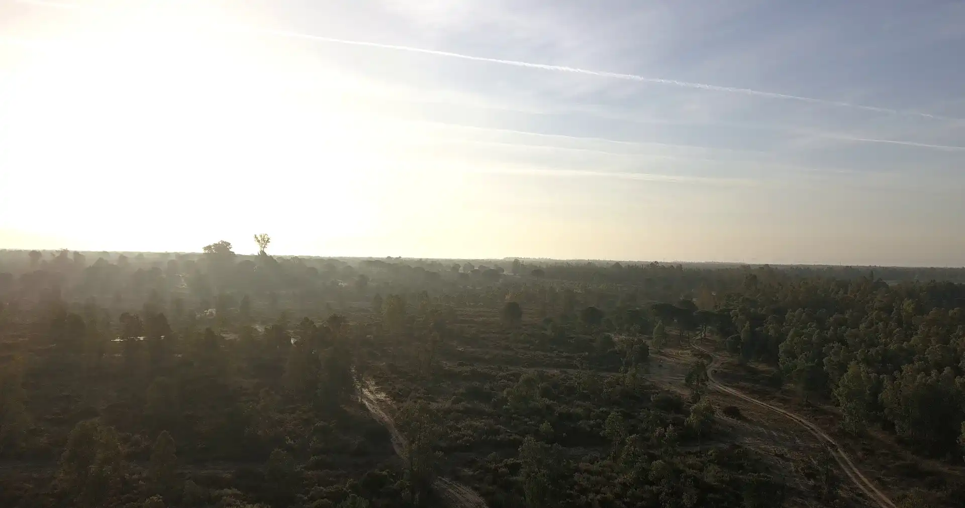 Finca rústica en venda en Almonte