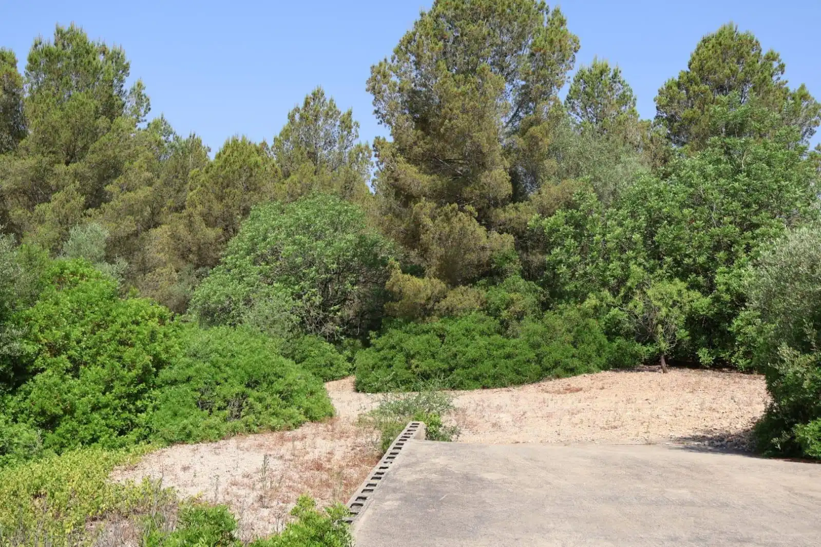 Finca rústica en venda a Vall d'Alba