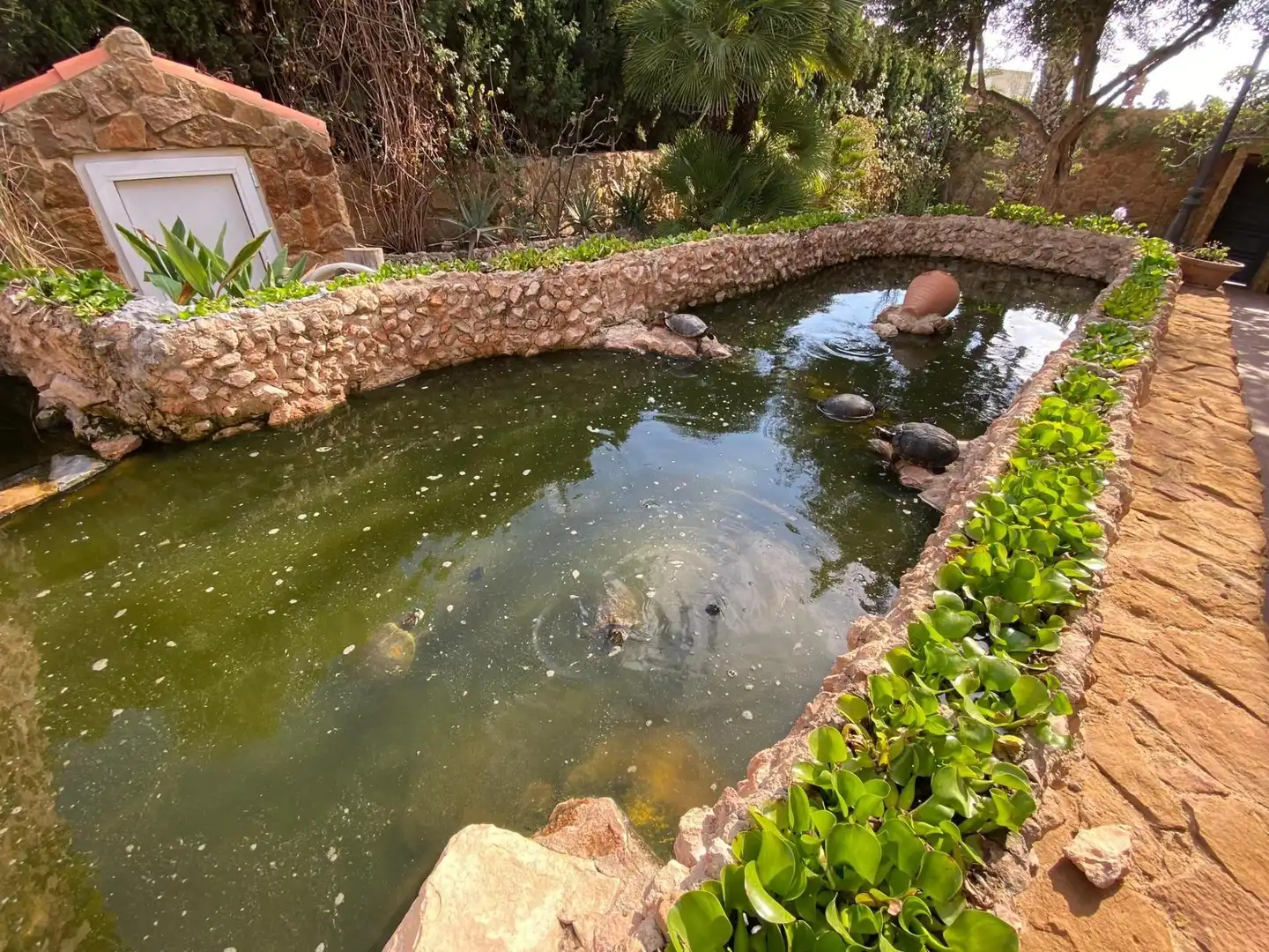Casa con piscina en venta en Orihuela Costa, imagen 78