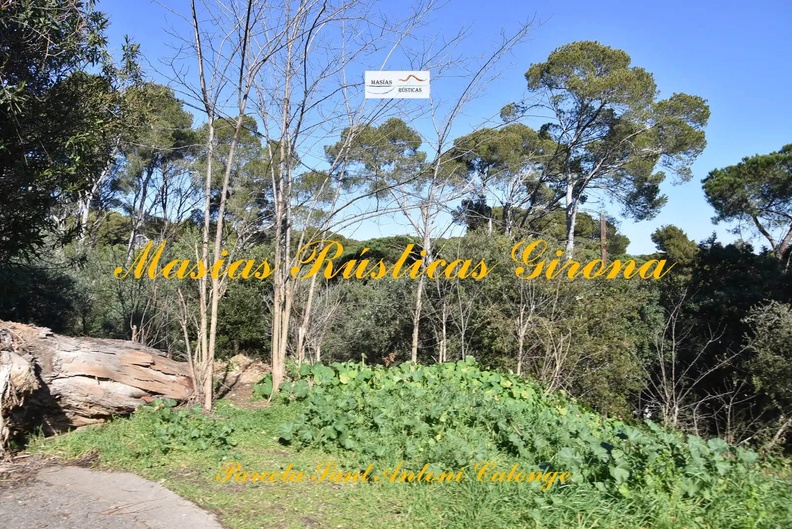 Residential land for sale in Carrer Cadí 6, imagen 18
