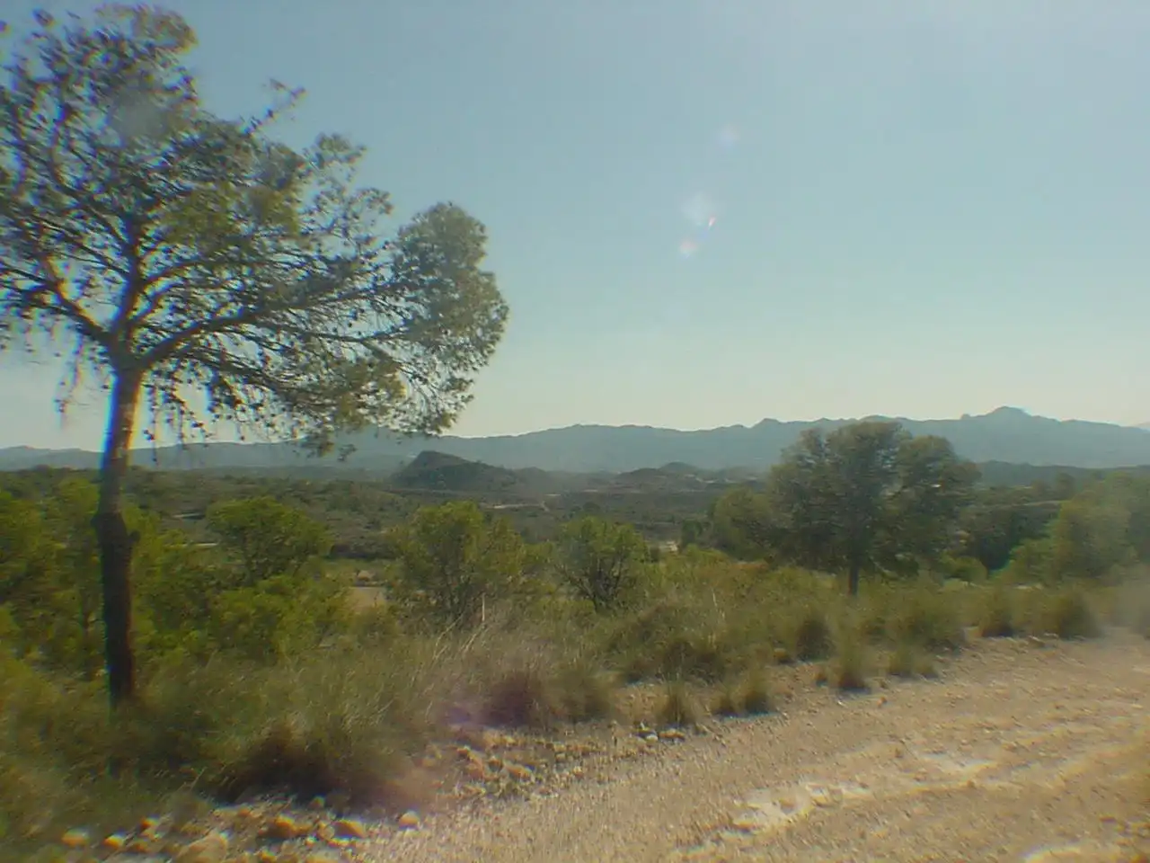 Lands and plots for sale in Abanilla, imagen 9