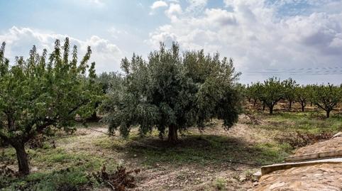 Foto 3 de Casa o xalet en venda a Calle Vereda, Las Cánovas - Cuevas de Reyllo, Fuente Álamo de Murcia