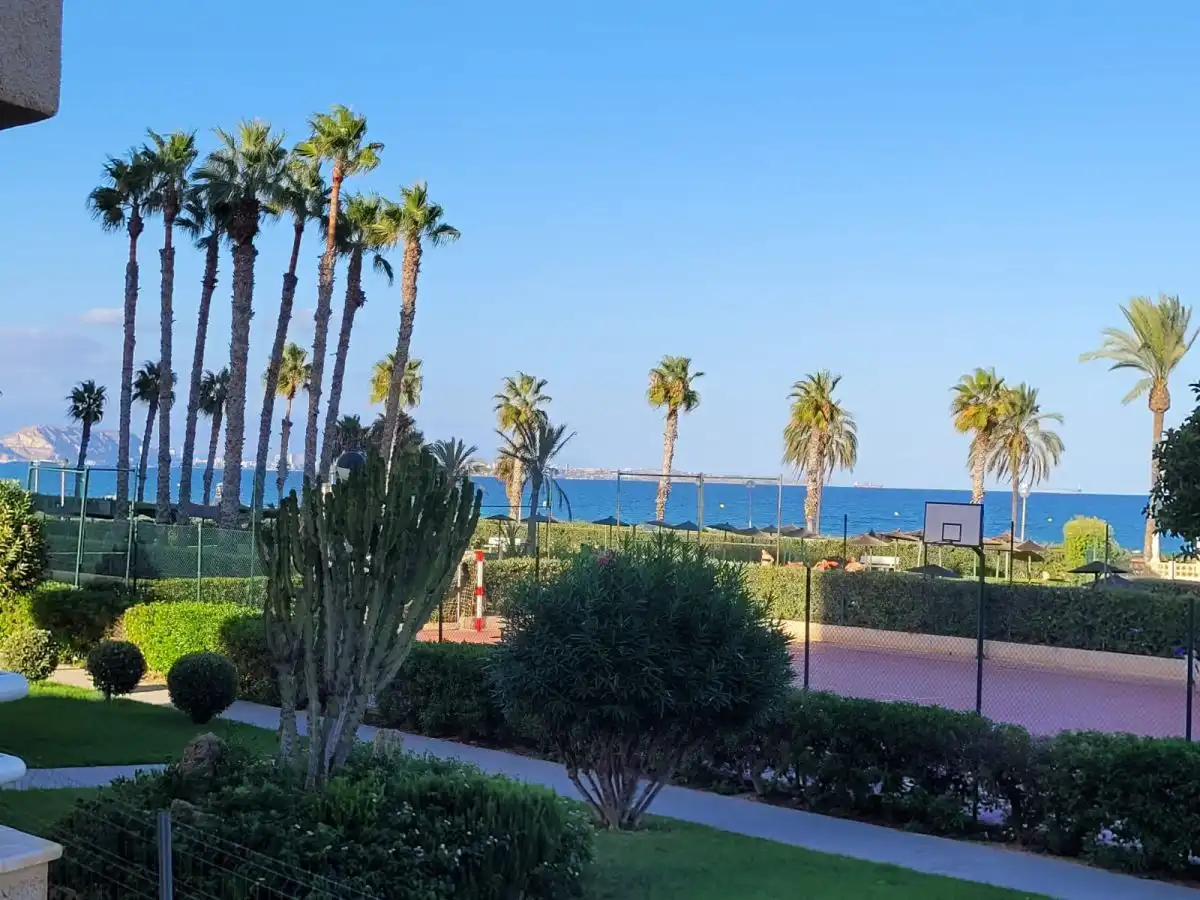 Apartments for rent in Calle del Músico Antón Roch, Agua Amarga - Urbanova