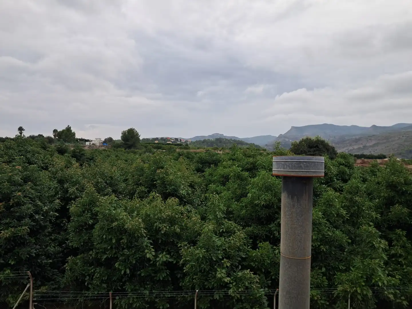 Adosado con terraza en venta en Ronda Salvador Cardona 25, imagen 20