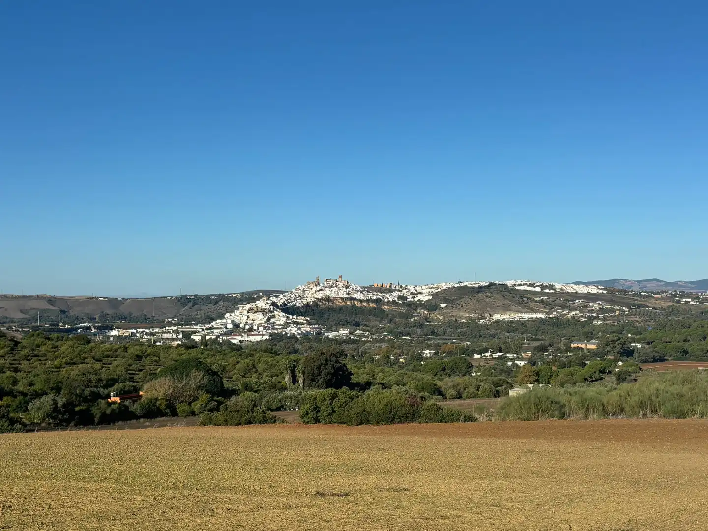 Vista exterior de Terreny en venda en Arcos de la Frontera