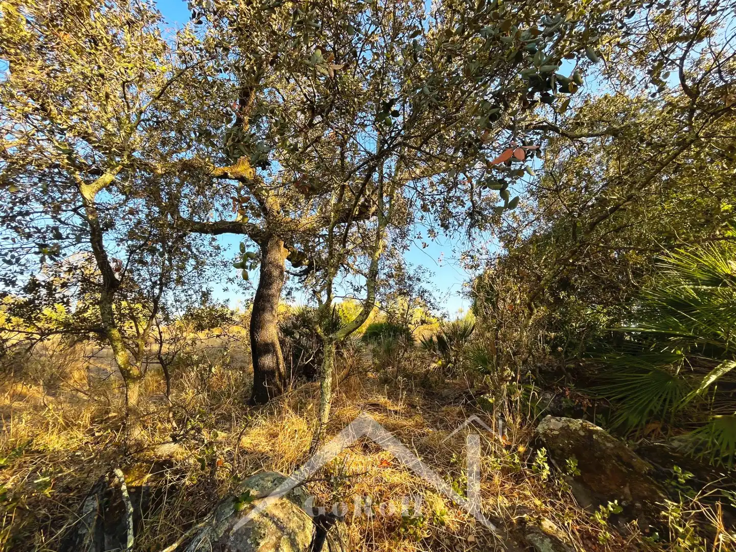 Terreno en venta en Guillena