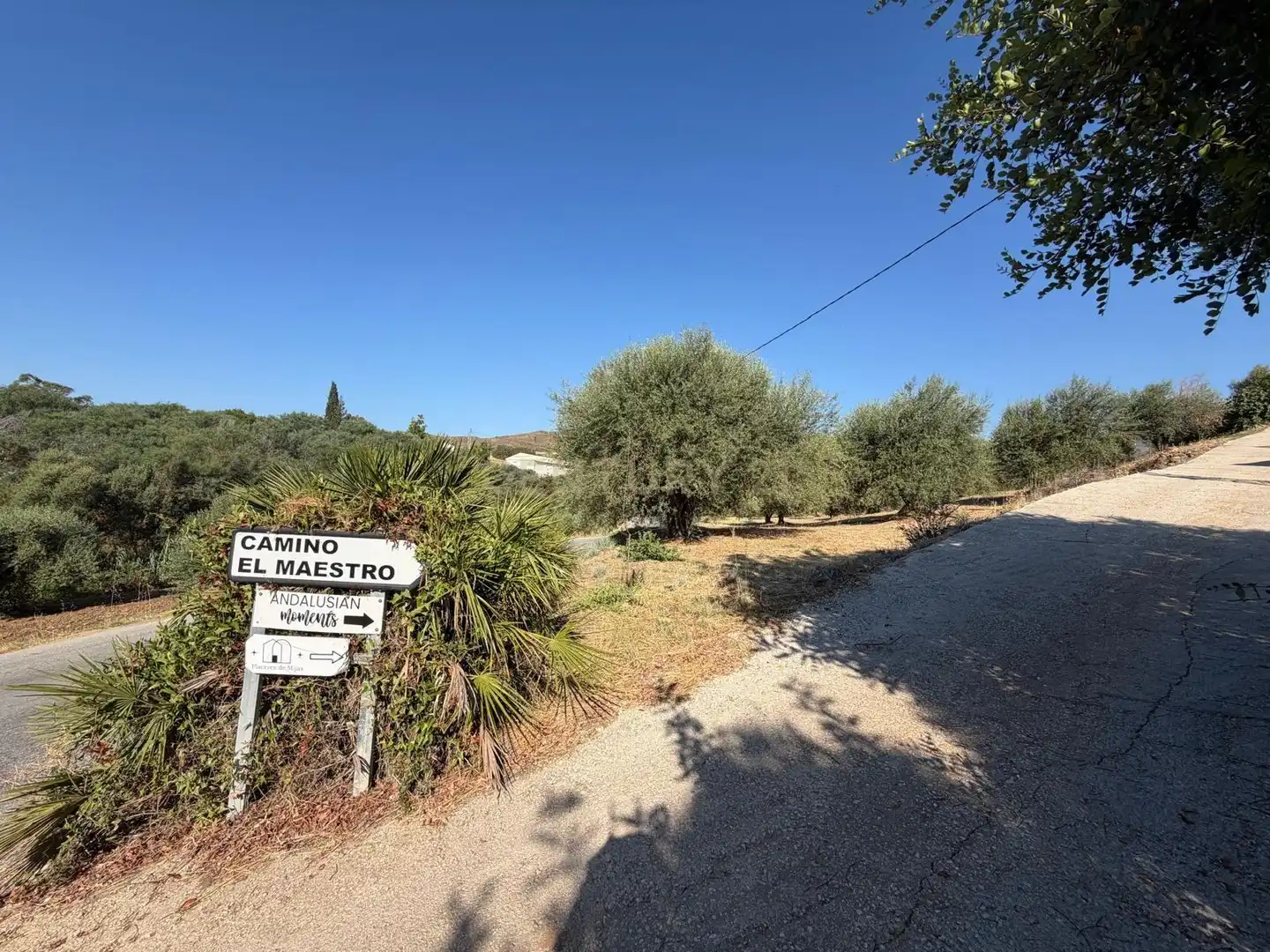 Terreni e lotti in vendita a Polígono 14 Parcela 58 ENTRE RIOS. MIJAS (MÁLAGA), imagen 18