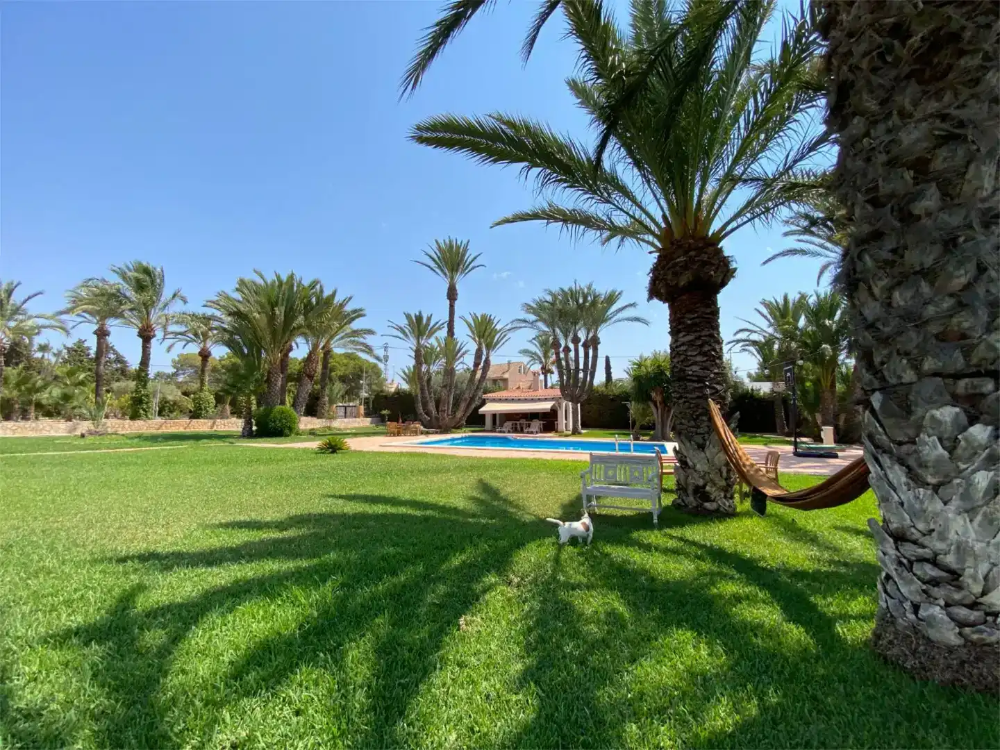 Jardí de Casa o xalet en venda en Santa Pola amb Aire condicionat i Piscina