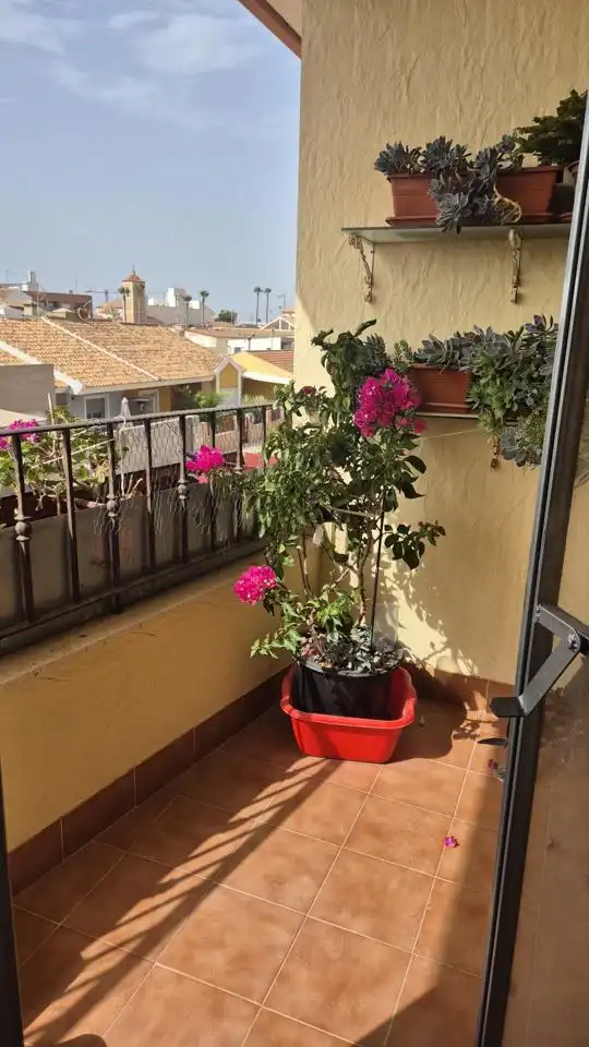 Maison mitoyenne avec terrasse à vendre à Calle San Isidro