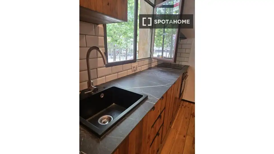 Cuina de Apartament per a compartir en Barcelona amb Aire condicionat, Terrassa i Moblat