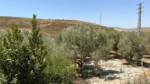 Photo 2 of Country homes for sale in Villamena, Granada