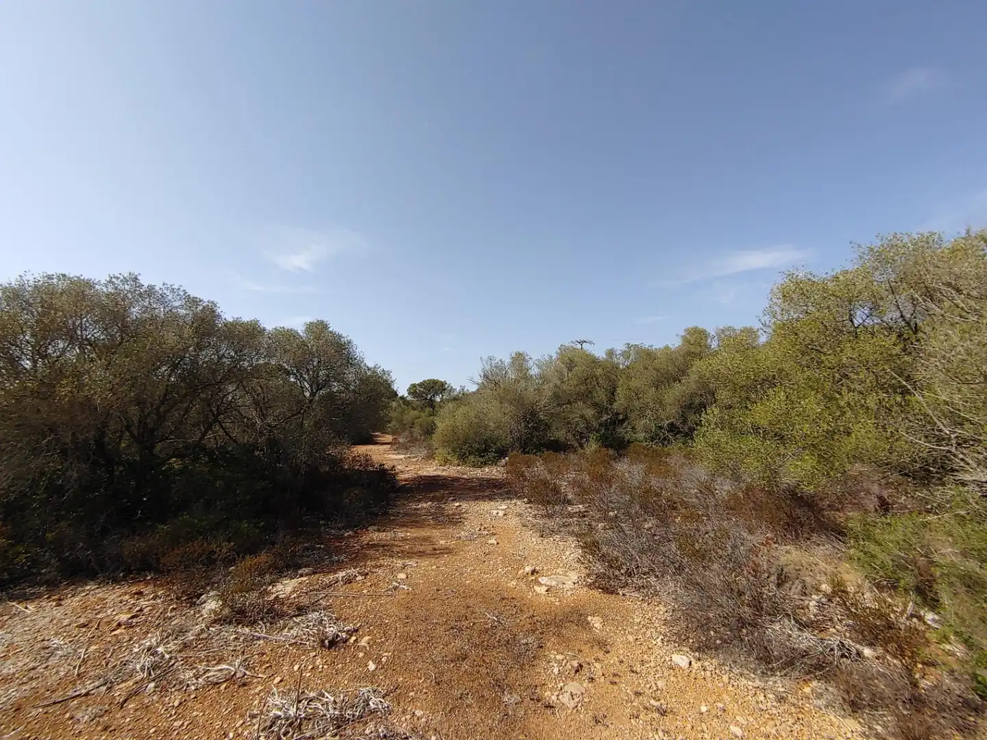 Residencial en venta en Polígono Parcela 12, Cala Pi - Vallgornera