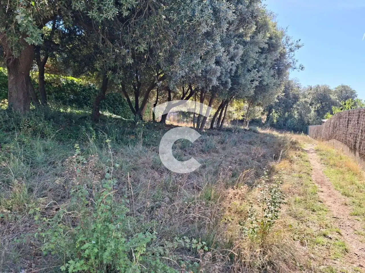Terrain rustique à vendre à Calle Can Garriga, imagen 5