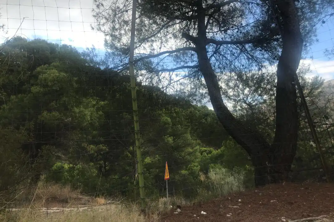 Terreni e lotti in vendita a Avda de Madrid - Pº de la Estación, imagen 12