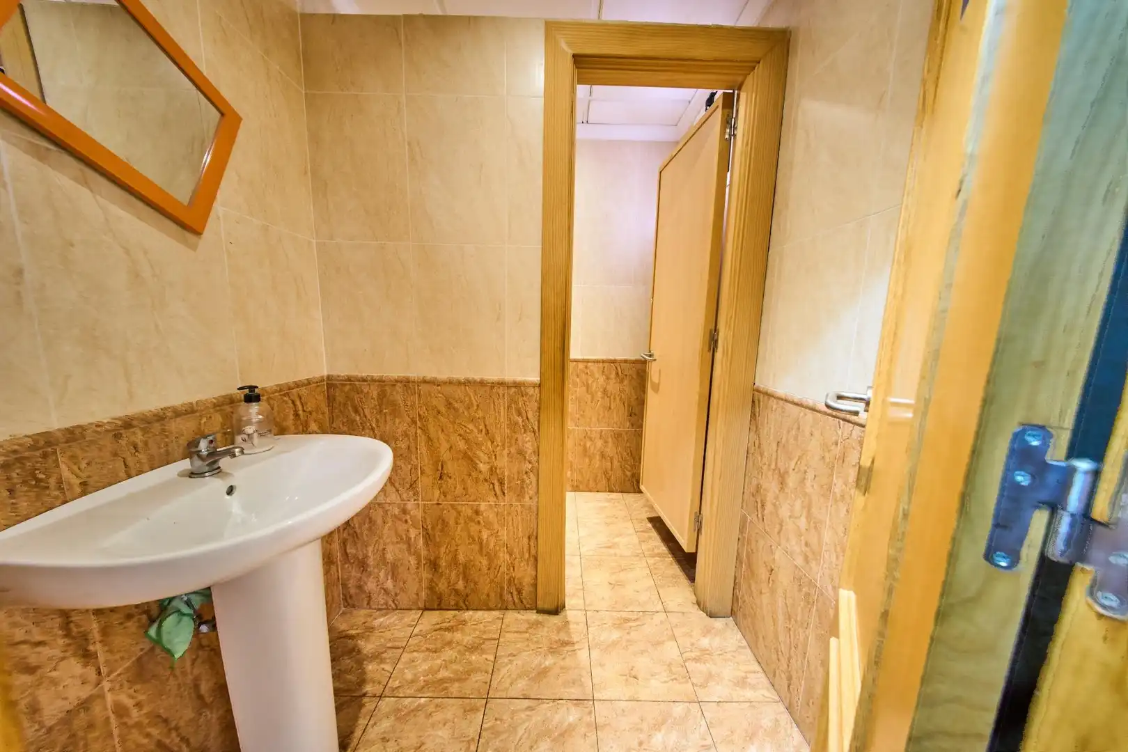 Bathroom of Commercial properties for sale in Castillo de Locubín