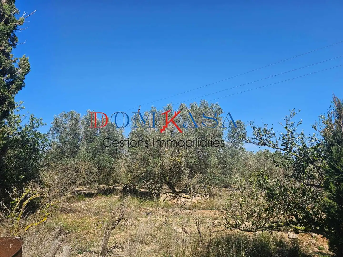 Rural land for sale in Roquetes, imagen 6