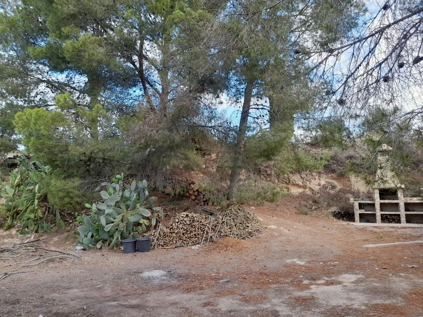 Terreno rústico en venta en Ascó, imagen 4